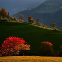 Breathtaking landscapes — 29