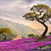 Breathtaking landscapes — 51