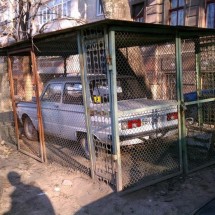 Codzienny Strzał Fotek — 51
