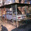 Codzienny Strzał Fotek — 51