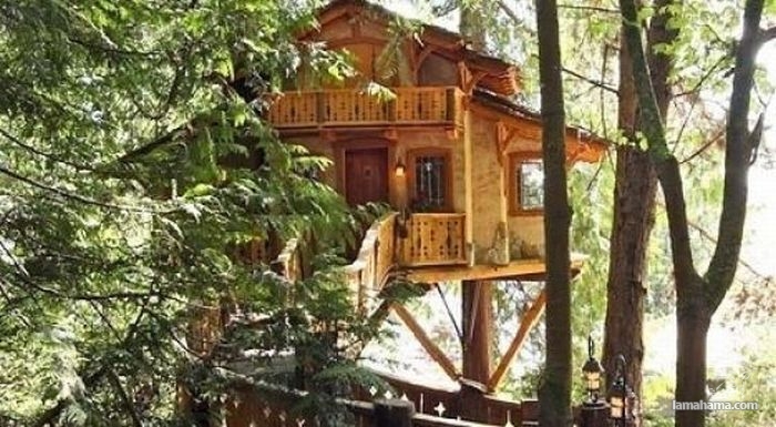 Awesome Treehouses - Pictures nr 10
