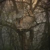 Awesome Treehouses - Pictures nr 11
