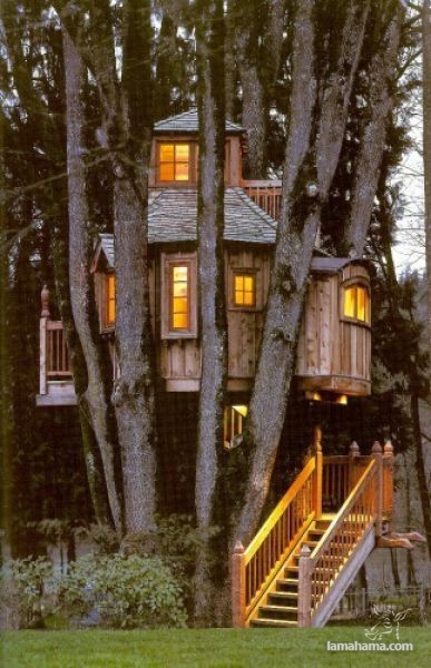 Awesome Treehouses - Pictures nr 13