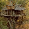 Awesome Treehouses - Pictures nr 16