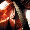 Awesome Treehouses - Pictures nr 17