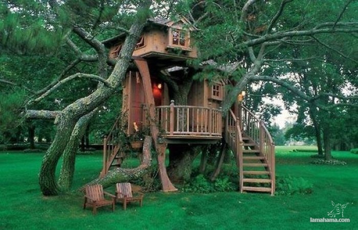 Awesome Treehouses - Pictures nr 19
