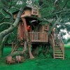 Awesome Treehouses - Pictures nr 19