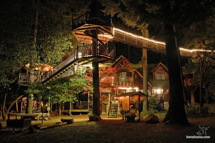 Awesome Treehouses - Pictures nr 20
