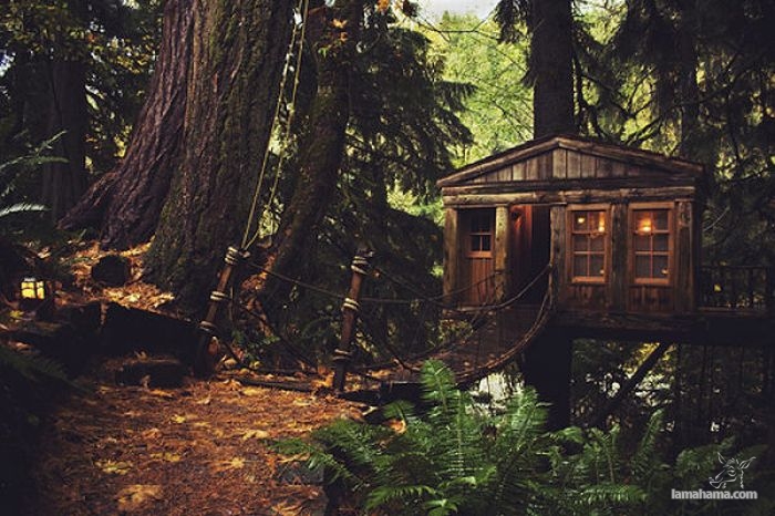 Awesome Treehouses - Pictures nr 24