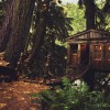Awesome Treehouses - Pictures nr 24