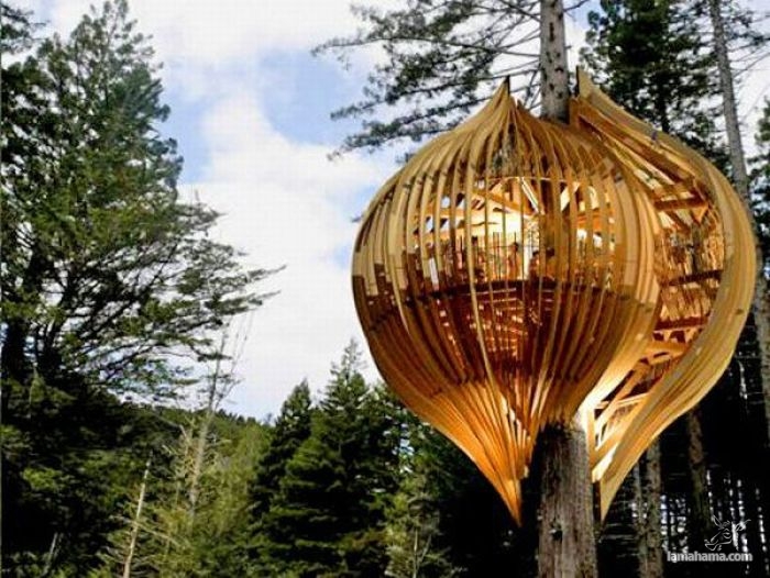 Awesome Treehouses - Pictures nr 26