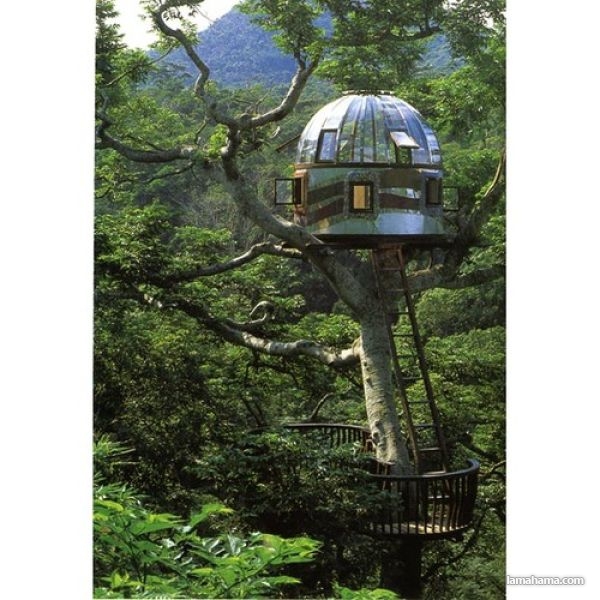 Awesome Treehouses - Pictures nr 27