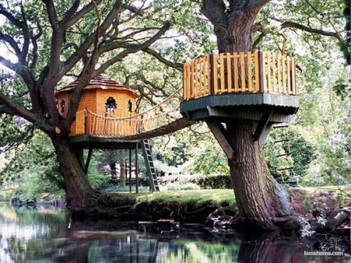 Awesome Treehouses - Pictures nr 29