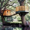 Awesome Treehouses - Pictures nr 29