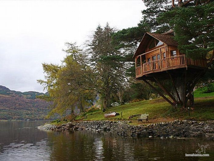 Awesome Treehouses - Pictures nr 3