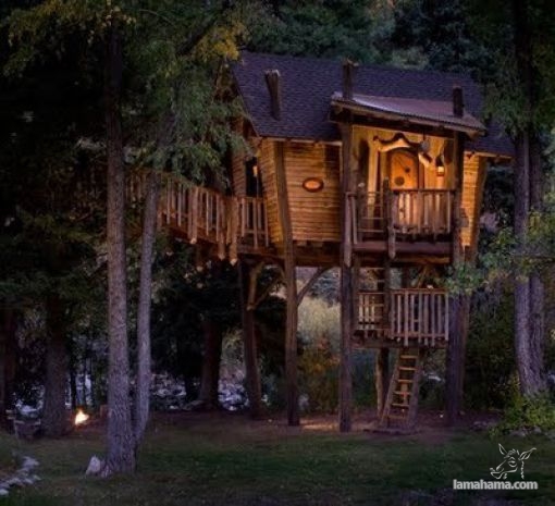 Awesome Treehouses - Pictures nr 32
