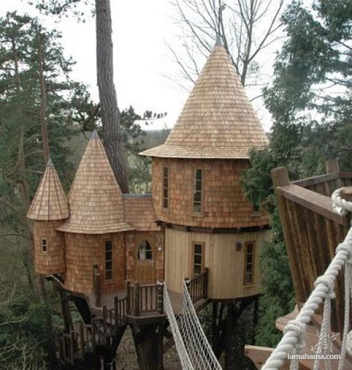 Awesome Treehouses - Pictures nr 9