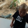 FotoBomby — 10