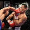Photo at the right moment - Pictures nr 26