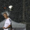 Photo at the right moment - Pictures nr 27