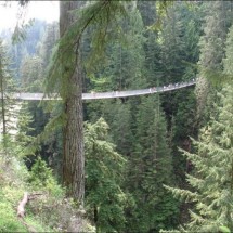 Great Suspension Bridge — 4