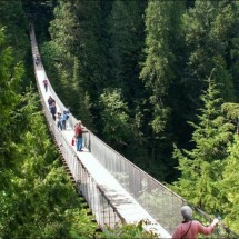 Great Suspension Bridge — 5