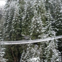 Great Suspension Bridge — 6