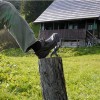 Forced perpective Photos - Pictures nr 67