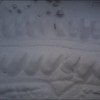 Troszkę śniegu :) — 12