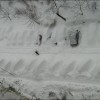 Troszkę śniegu :) — 15