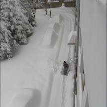 Troszkę śniegu :) — 7