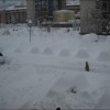 Troszkę śniegu :) — 8