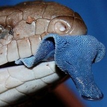 Codzienny Strzał Fotek — 17