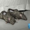 50 przykładów kreatywnej reklamy — 13