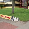 50 przykładów kreatywnej reklamy — 38