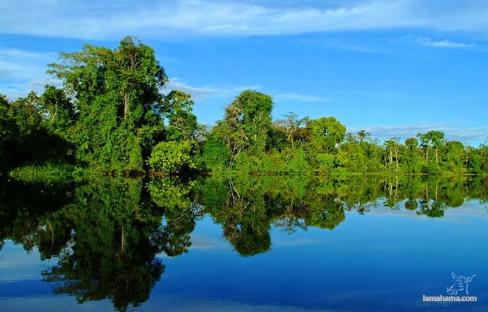 Luksusowy, pływający hotel po Amazonce - Zdjecie nr 15