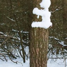 Codzienny Strzał Fotek — 30