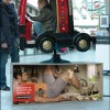 50 examples of creative advertising - Pictures nr 43