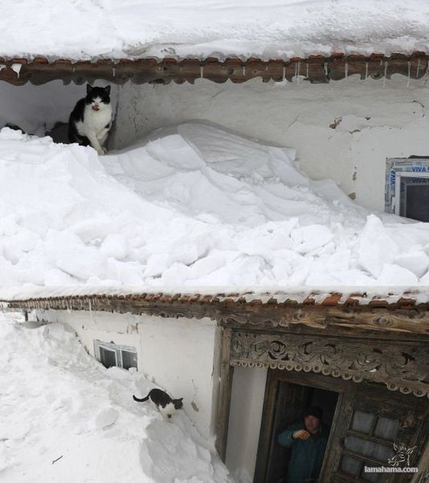 Wioska w Rumunii zasypana mega śniegiem - Zdjecie nr 7