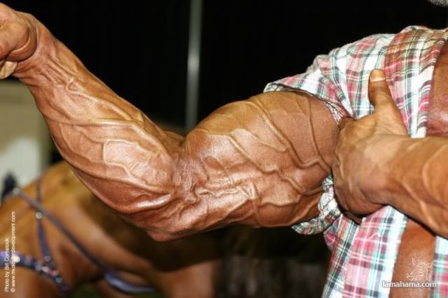 Big Muscle Guys - Pictures nr 16