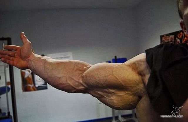 Big Muscle Guys - Pictures nr 18