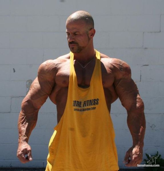 Big Muscle Guys - Pictures nr 22