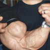 Big Muscle Guys - Pictures nr 23