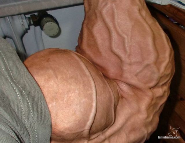 Big Muscle Guys - Pictures nr 28