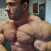 Big Muscle Guys - Pictures nr 29