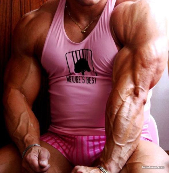Big Muscle Guys - Pictures nr 35