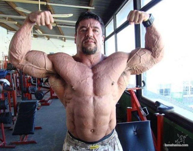 Big Muscle Guys - Pictures nr 36