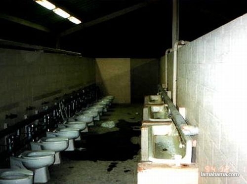 Niezwykłe toalety - Zdjecie nr 27