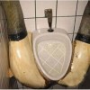 Cool toilets - Pictures nr 35