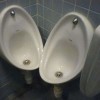 Cool toilets - Pictures nr 48